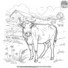 Captivating Farm Cow Coloring Pages