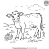 Farm Cow Coloring Pages