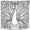 Exciting Detailed Bird Coloring Pages