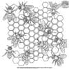 Intricate Bee Hive Coloring Pages