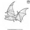 Detailed Bat Coloring Pages