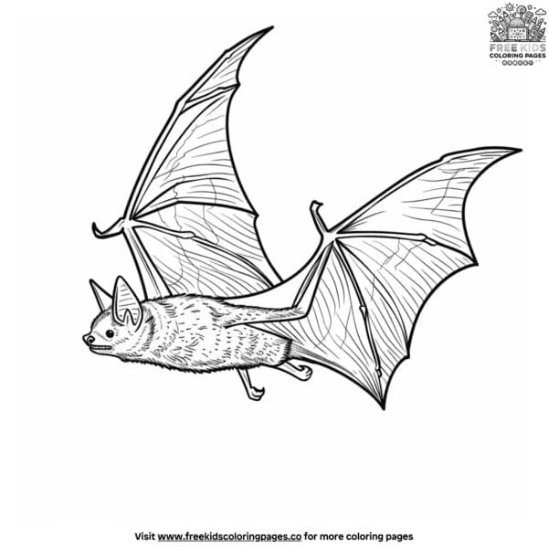 Detailed bat coloring pages