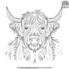 Vibrant Highland Cow Coloring Pages For Creative Fun