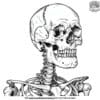 Realistic Skeleton Coloring Pages