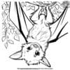 Easy Bat Coloring Pages