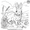 Farm Rabbit Coloring Pages