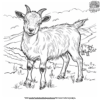 Billy Goat Coloring Pages