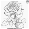 Sophisticated Rose Coloring Pages For Young Artists