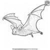 Realistic Bat Coloring Pages