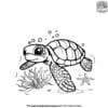 Curious Baby Turtle Coloring Pages