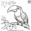 Vivid Exotic Bird Coloring Pages