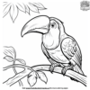 Exotic Bird Coloring Pages