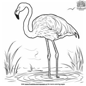 Vibrant Exotic Bird Coloring Pages: Explore The Beauty Of Tropical Birds