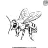 Vibrant Realistic Bee Coloring Pages