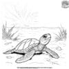 Beachside Turtle Coloring Pages