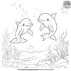 Charming Baby Dolphin Coloring Pages