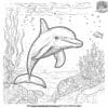 Complex Dolphin Coloring Pages