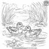 Duck Besties Coloring Pages