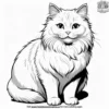 Fluffy Cat with a Soft, Round Body and Gentle Smile.