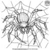 Intricate Spider Coloring Pages