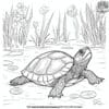 Lifelike Pond Turtle Coloring Pages