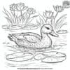 Mallard Duck On The Lake Coloring Pages