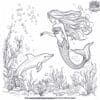 Mermaid And Dolphin Coloring Pages