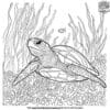 Turtle On The Ocean Bed Coloring Pages