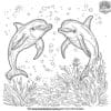 Vivid Dolphin Coloring Pages