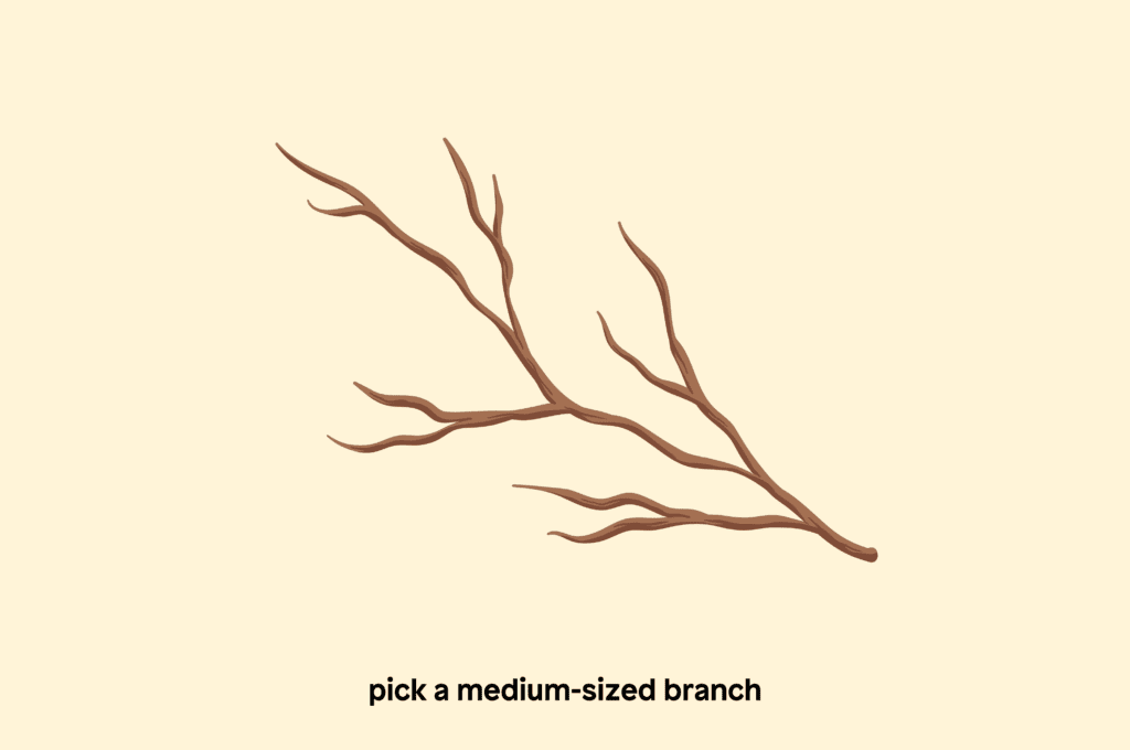 Pick a medium-sized branch