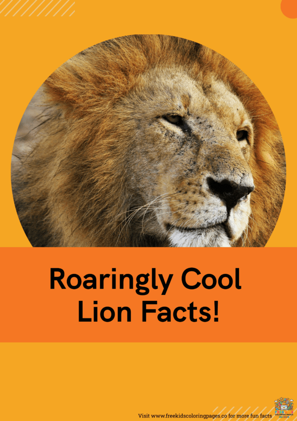 Lion fun facts printable