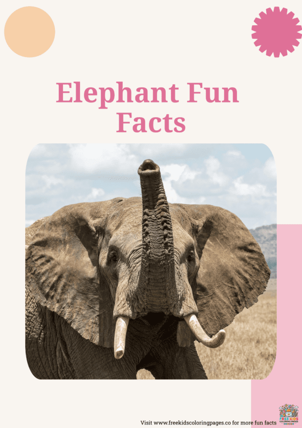 Elephant fun facts printable