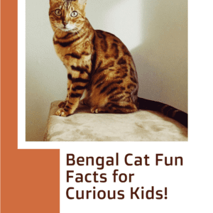 Bengal Cat Fun Facts Printable for Curious Kids