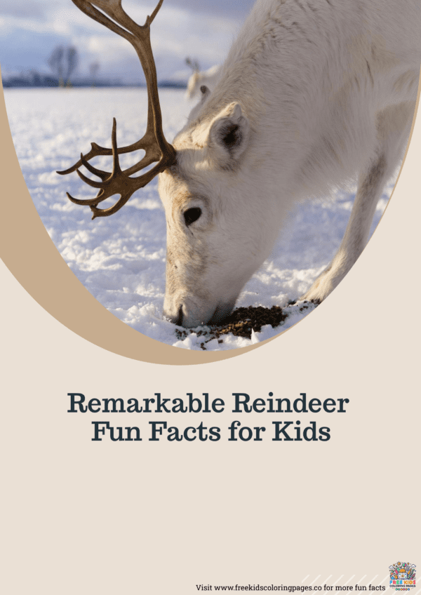 Reindeer fun facts printable