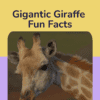 Giraffe Fun Facts Printable