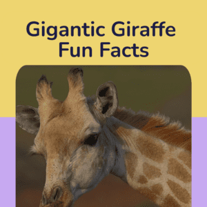 Giraffe Fun Facts Printable