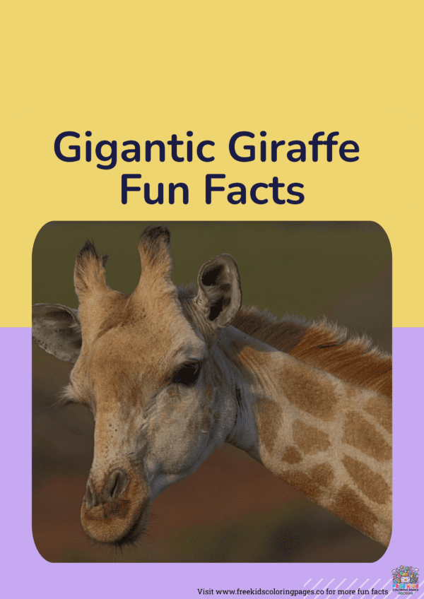 Giraffe fun facts printable