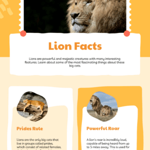 Lion fun facts