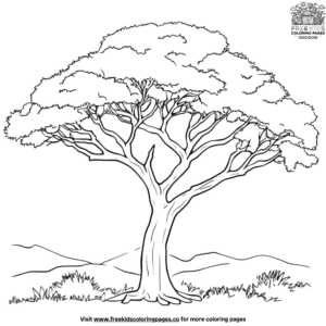 Acacia Tree Coloring Pages