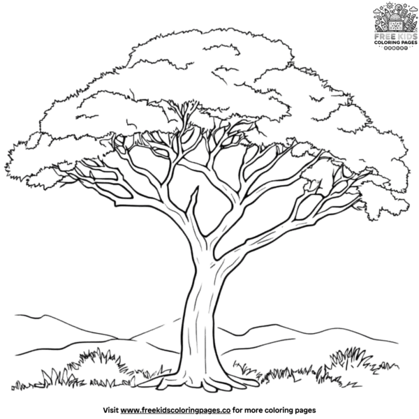 Acacia tree coloring pages