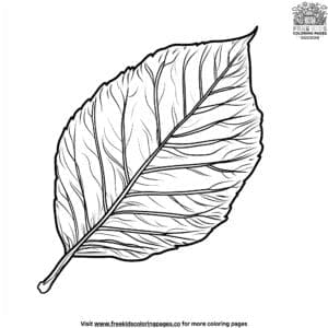 Almond Leaf Coloring Pages