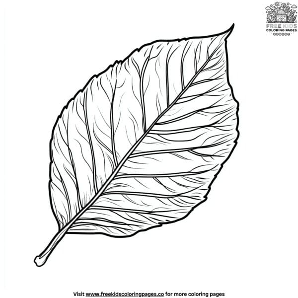 Almond leaf coloring pages