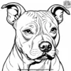 American Pit Bull Coloring Pages