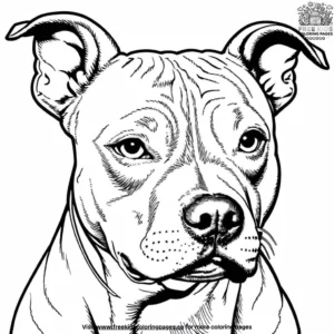 American Pit Bull Coloring Pages