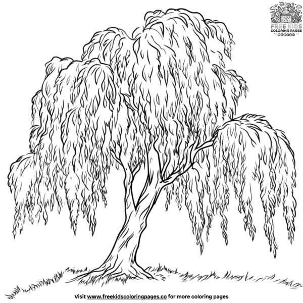 Ancient willow tree coloring pages