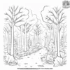 Autumn Forest Coloring Pages