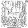 Baby Deer In The Forest Coloring Pages