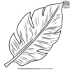 Banana Leaf Coloring Pages