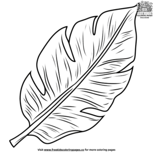 Banana leaf coloring pages