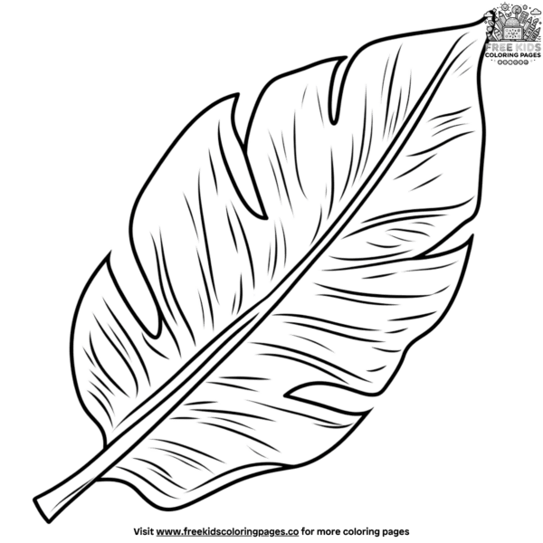 Banana Leaf Coloring Pages